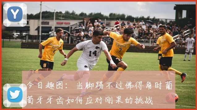 今日趣图：当脚踢不过佛得角时葡萄牙牙齿如何应对刚果的挑战